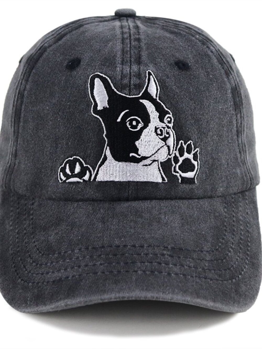 black Boston dogd